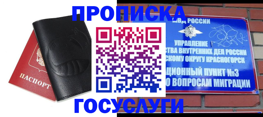 купить прописку в Щёлково